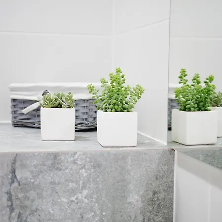 Apartamento Kapitanska *