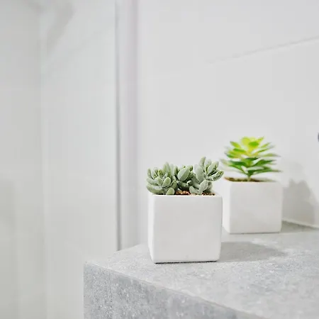 Appartement Kapitanska *