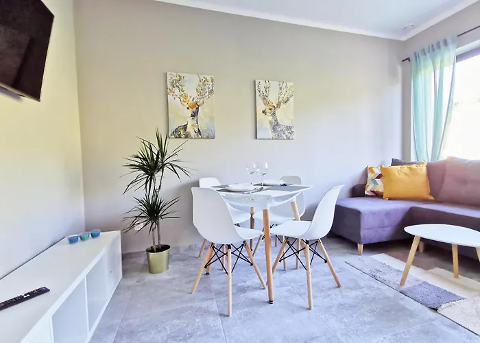 Apartament Kapitanska *